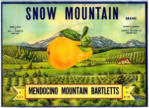 Snow Mountain Fruit Crate Label.