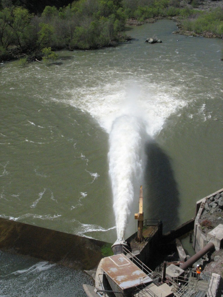 Needle Valve
