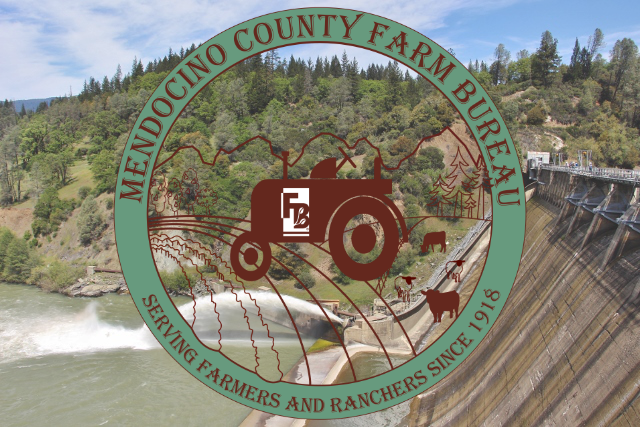 mcfb logo over dam
